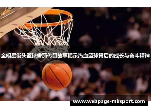 全明星街头篮球番茄传奇故事揭示热血篮球背后的成长与奋斗精神