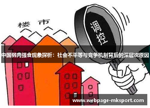 中国弱肉强食现象探析:社会不平等与竞争机制背后的深层次原因