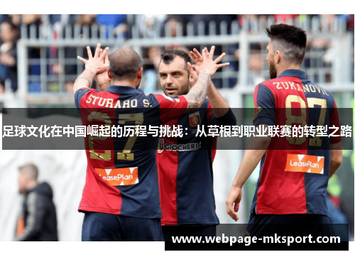 足球文化在中国崛起的历程与挑战：从草根到职业联赛的转型之路