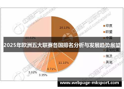 2025年欧洲五大联赛各国排名分析与发展趋势展望