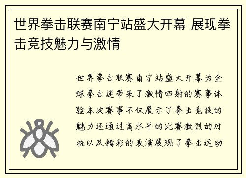 世界拳击联赛南宁站盛大开幕 展现拳击竞技魅力与激情