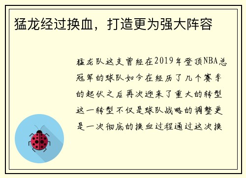 猛龙经过换血，打造更为强大阵容